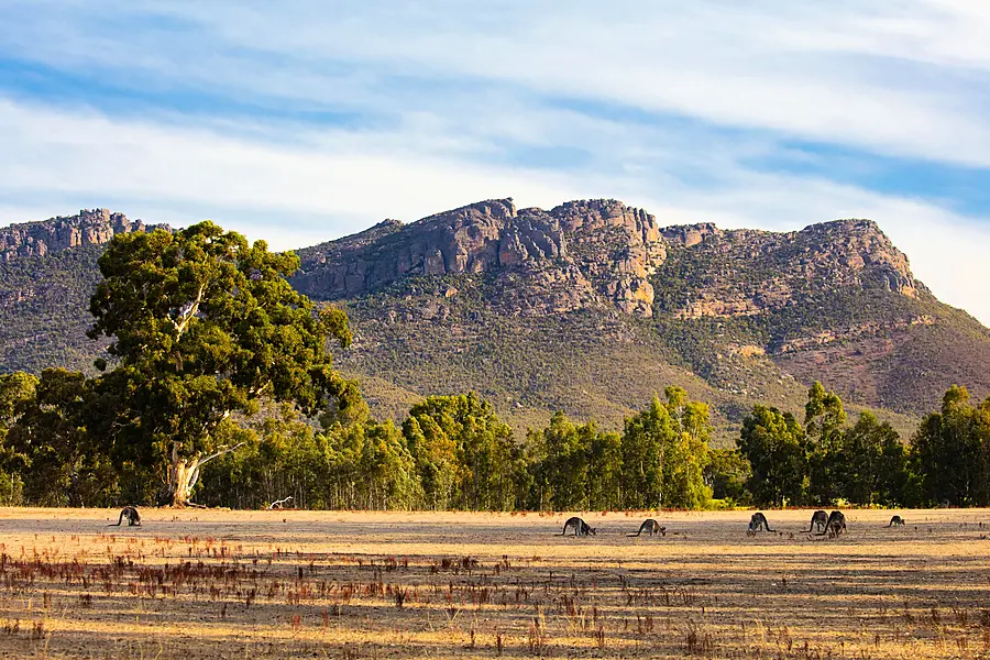 The Grampians