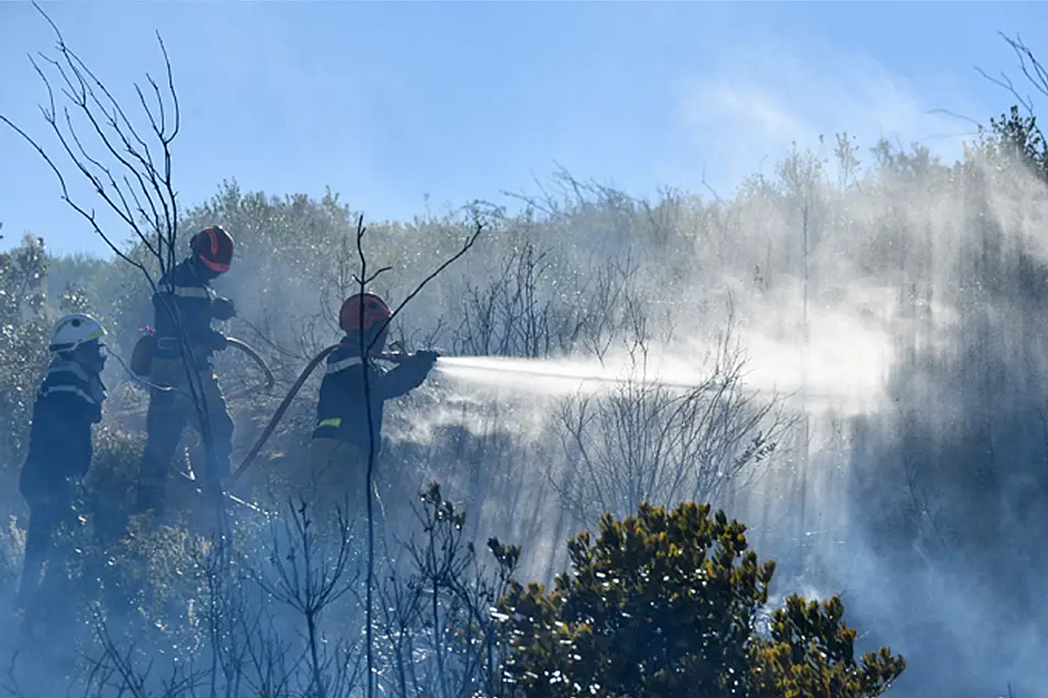 Hundred of firefighters backed by water-dropping planes battled a large forest fire on Friday