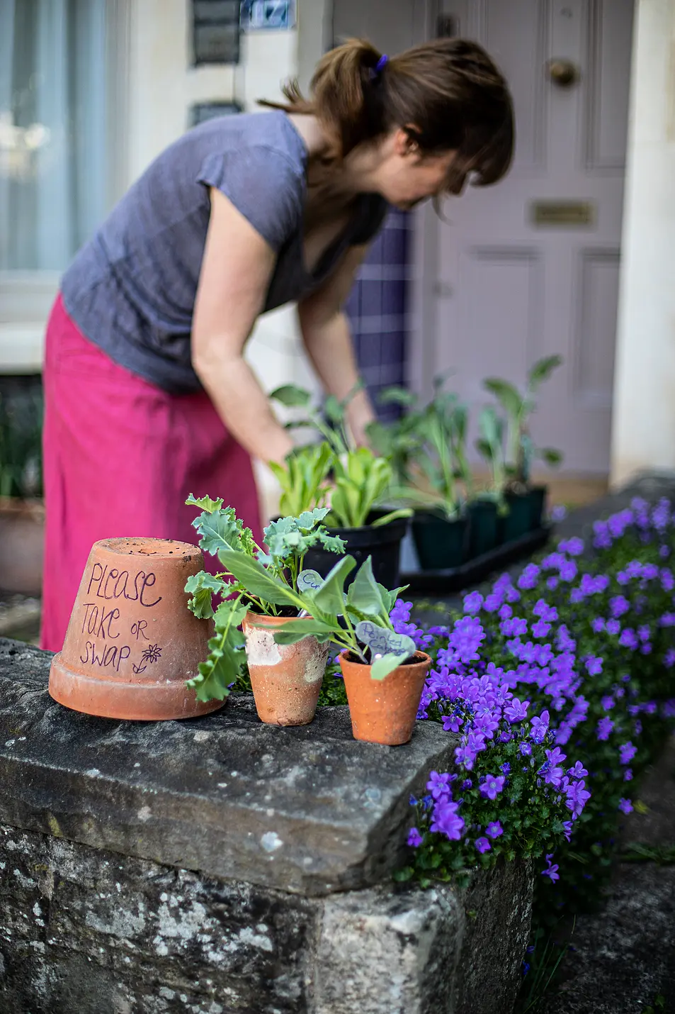 Swap or share your spare plants (Tory McTernan/PA)