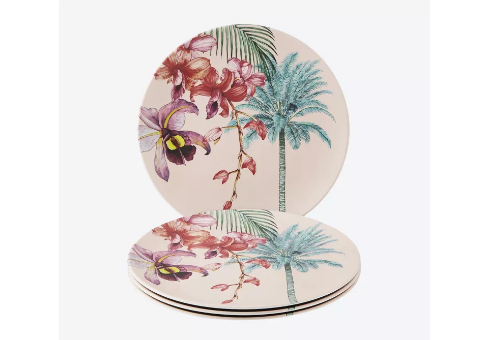 Perfect Picnic Dinner Plates – Set of 4 by Joe Browns, Fy!