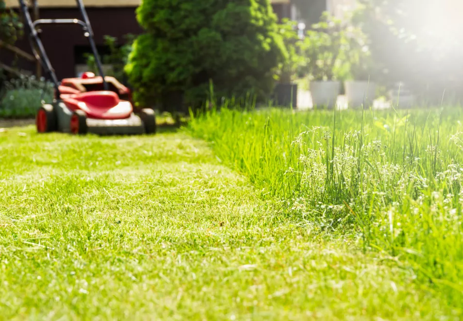 Someone mowing the lawn (Alamy/PA)