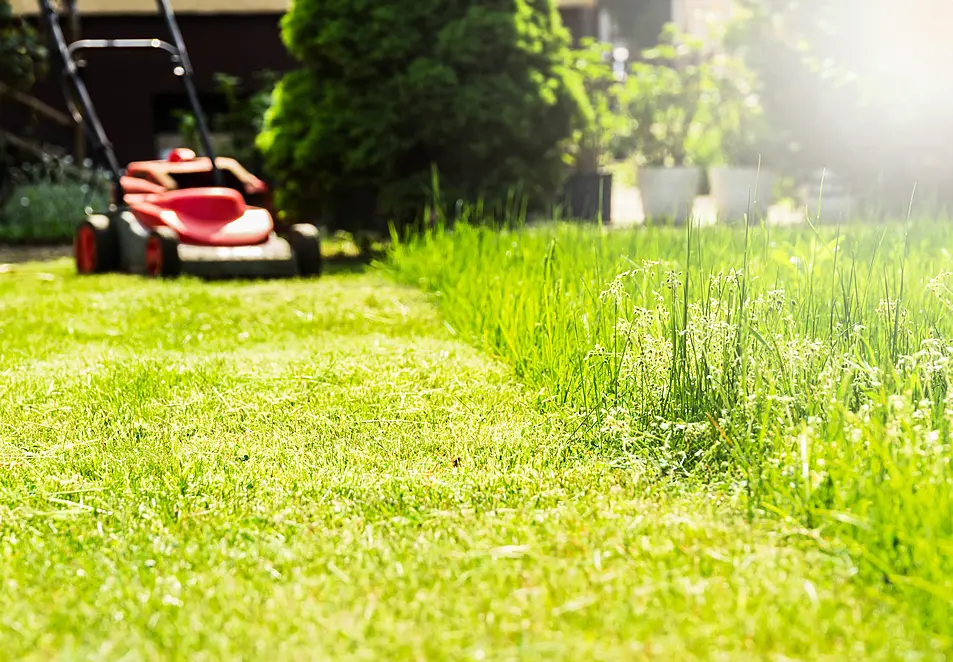 Someone mowing the lawn (Alamy/PA)