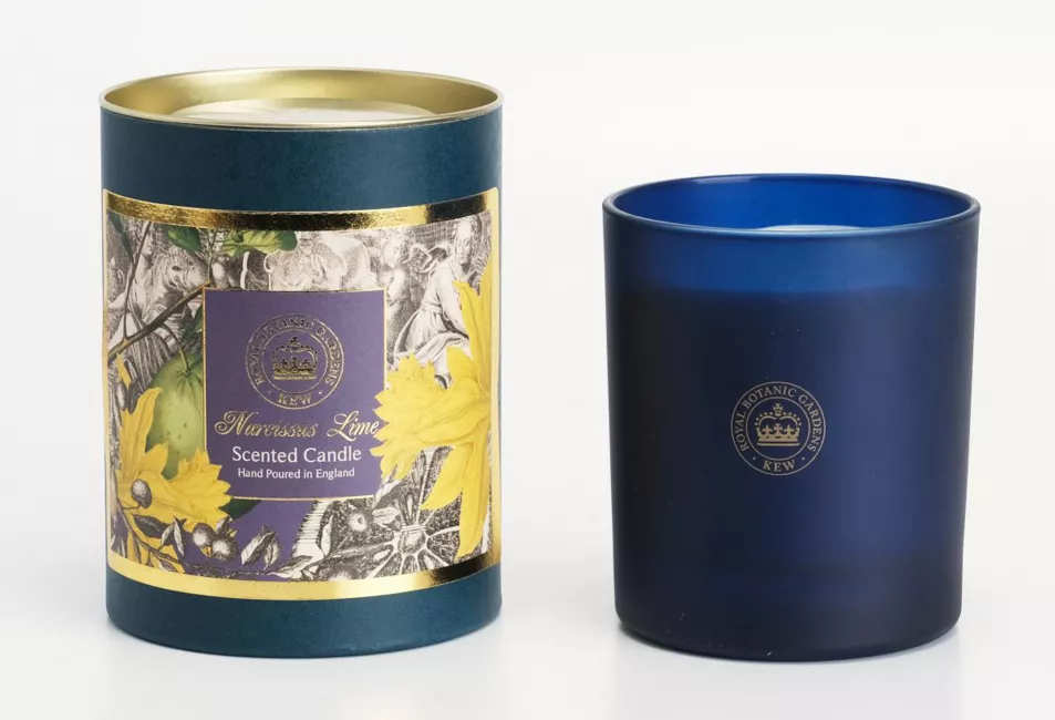 Kew Gardens Narcissus Lime Candle, French Bedroom Company