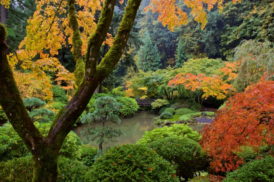 Portland Japanese Garden 