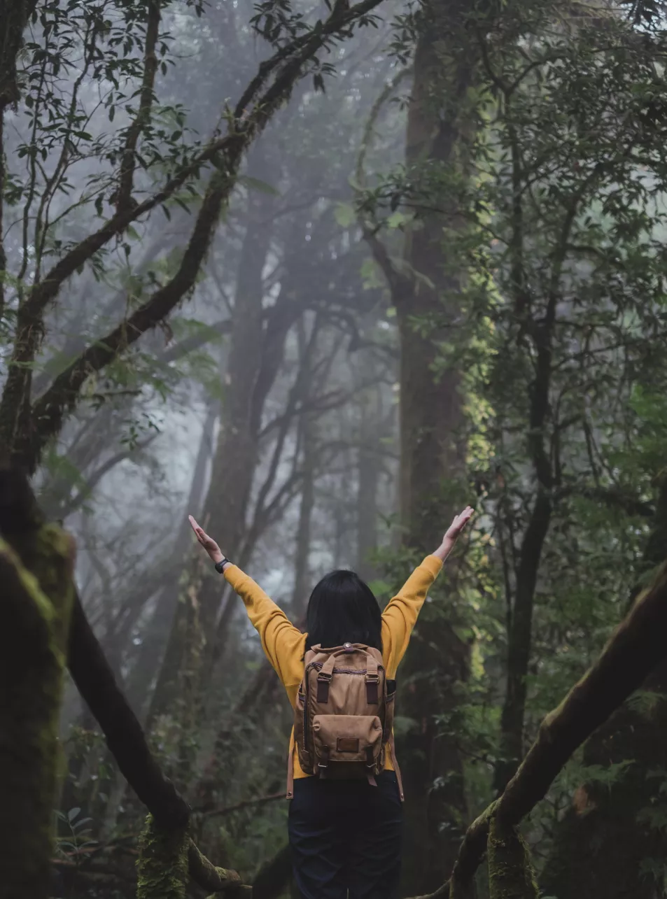backpacker in misty forest