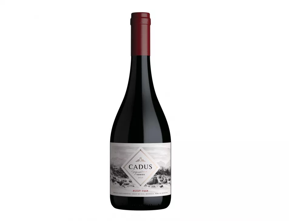 Cadus Signature Series Pinot Noir 2019, Mendoza, Argentina, Vivino