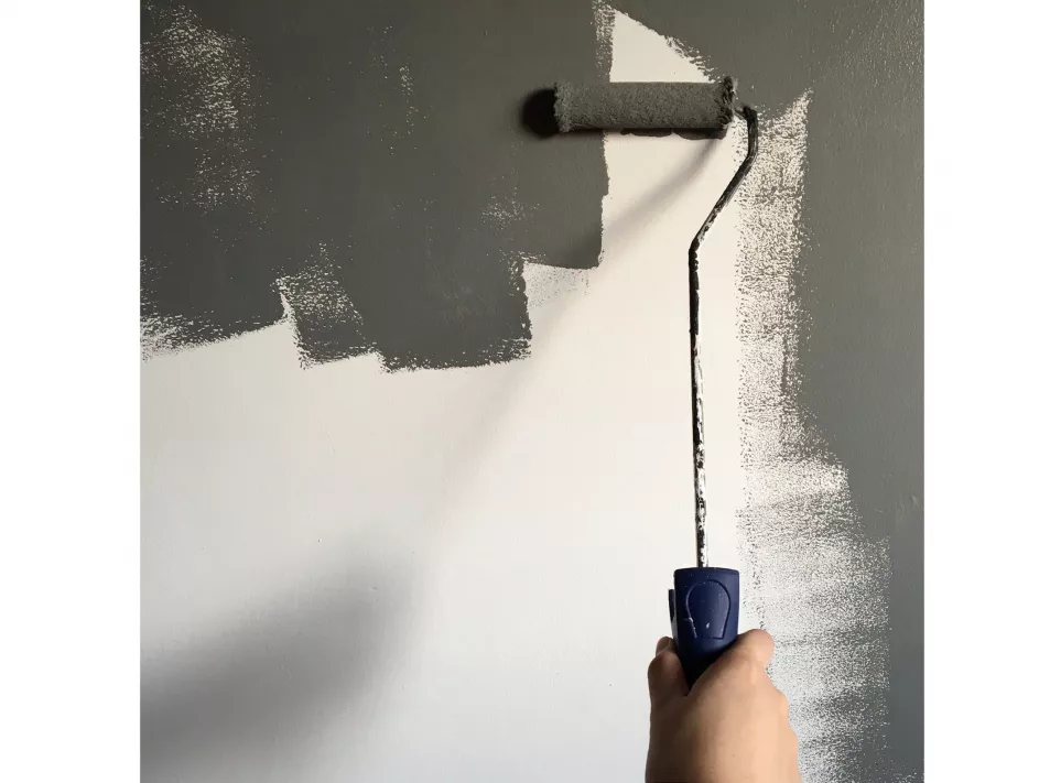 Person painting wall with roller