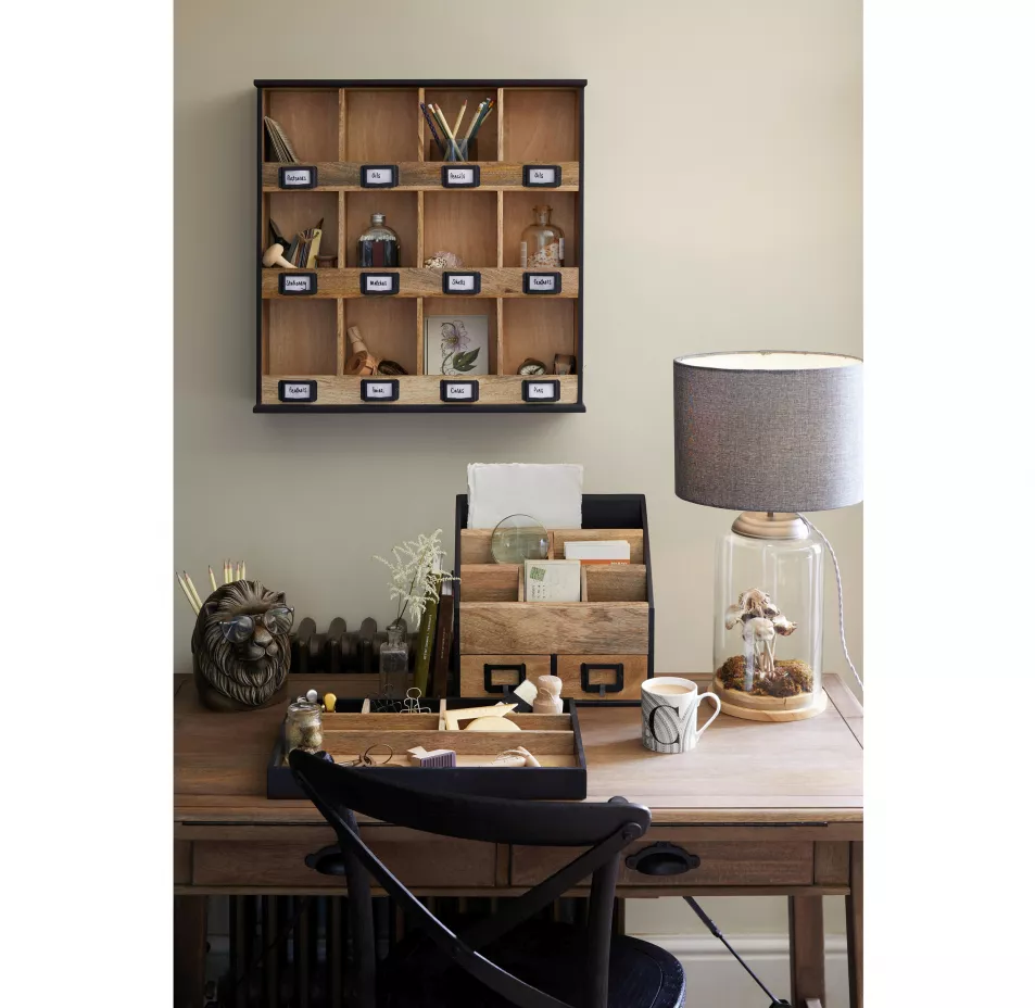 Natural History Museum Wall Mounted Organiser, Dunelm