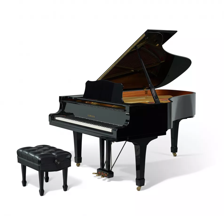 Elton John's piano. (Christie’s Images 2024)
