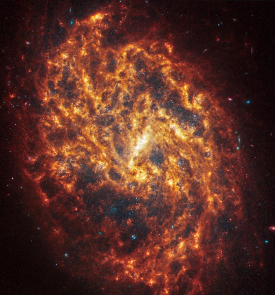 Imagem de Webb da NGC 1087 