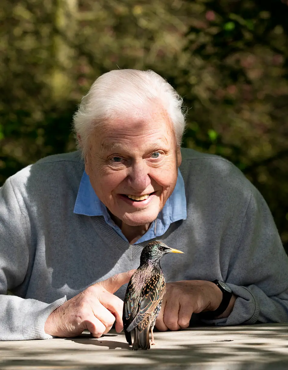 David Attenborough