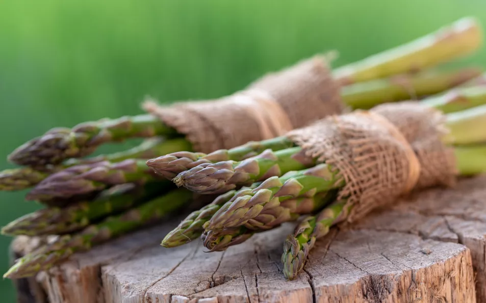 Asparagus wrapped in jute (Alamy/PA)