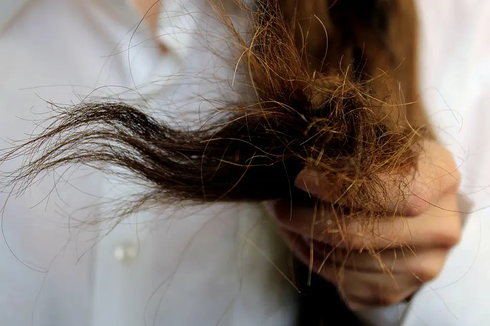 Dry ends of someone's hair