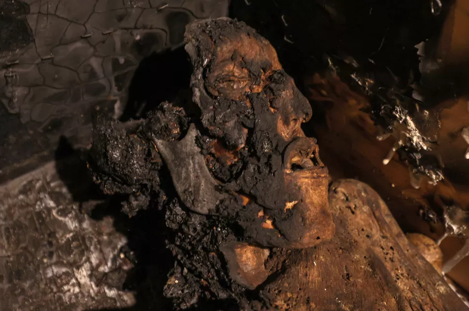 The head of a fire-damaged mummy in the crypt at St Michan's Church in Dublin