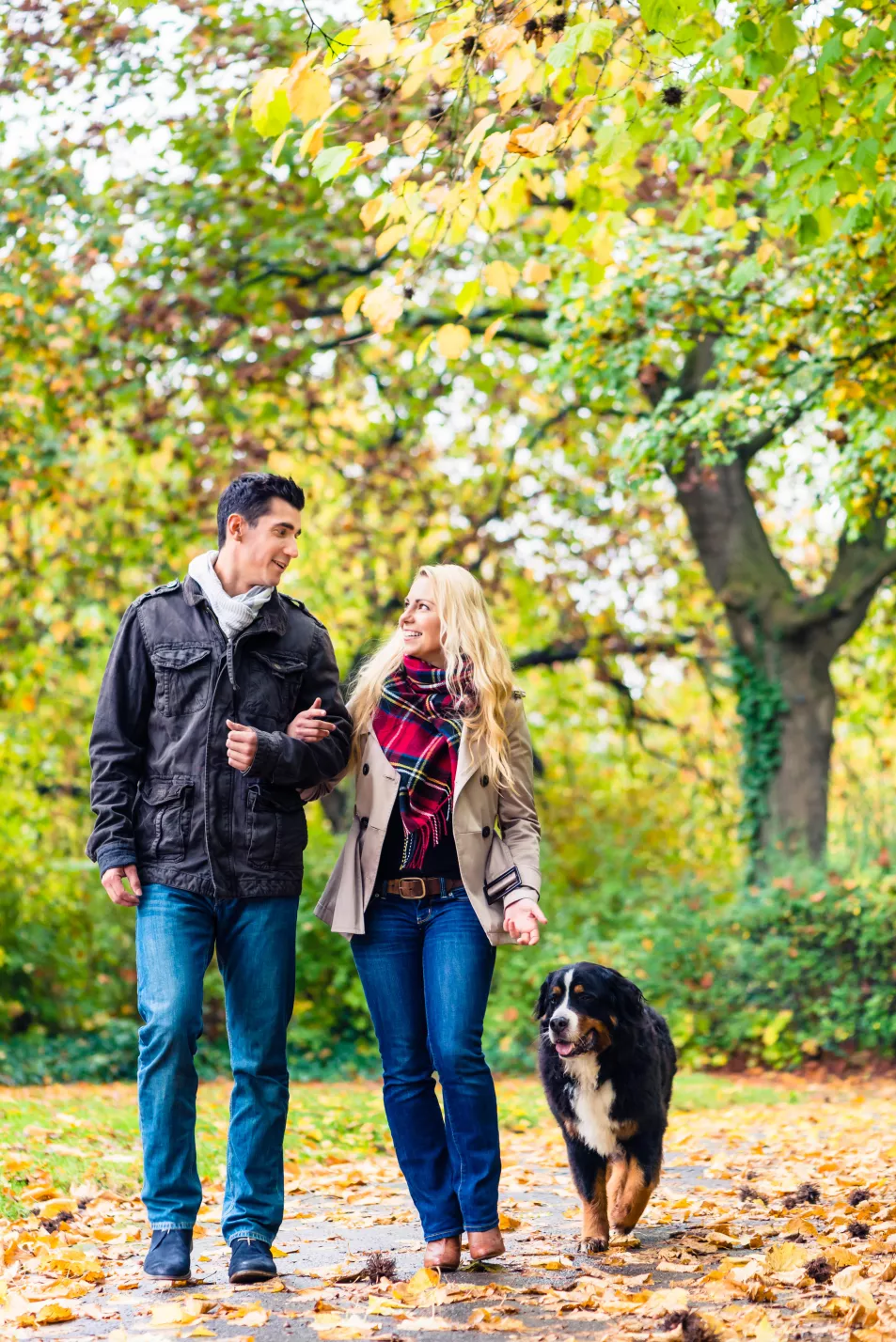 Woman and man walking their dog in the park during autumn 