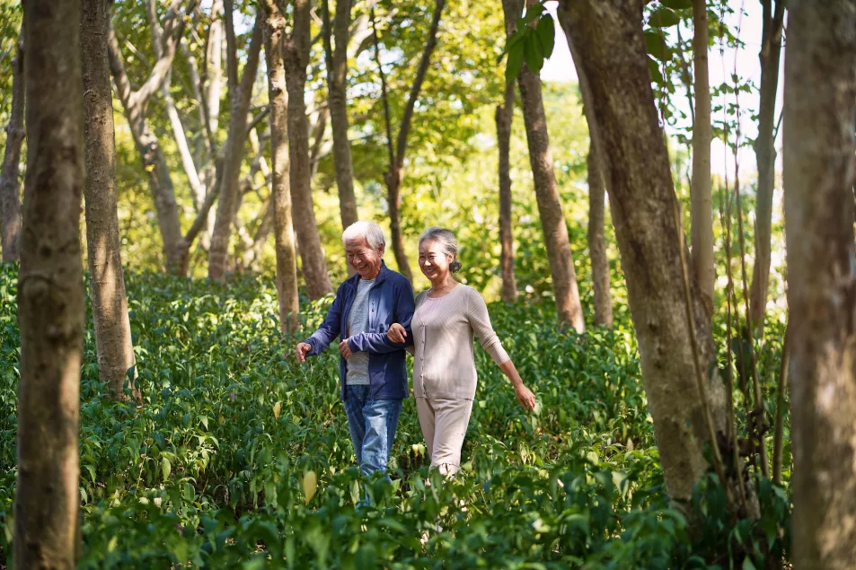 Happy senior couple chatting while walking through a woodland