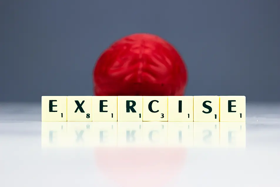 Scrabble letters spelling out the word exercise in front of a red brain