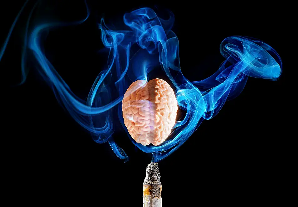 Anatomical brain model with smoke ascending from a cigarette, highlighting the relationship between smoking and brain health.