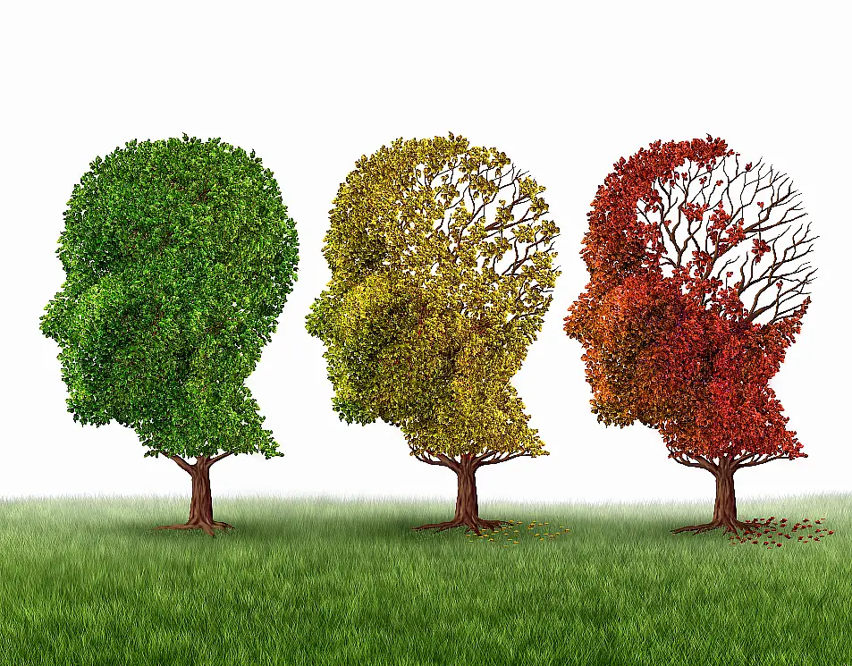 Three face-shaped trees changing colour and losing leaves to represent brain ageing and loss of cognitive function