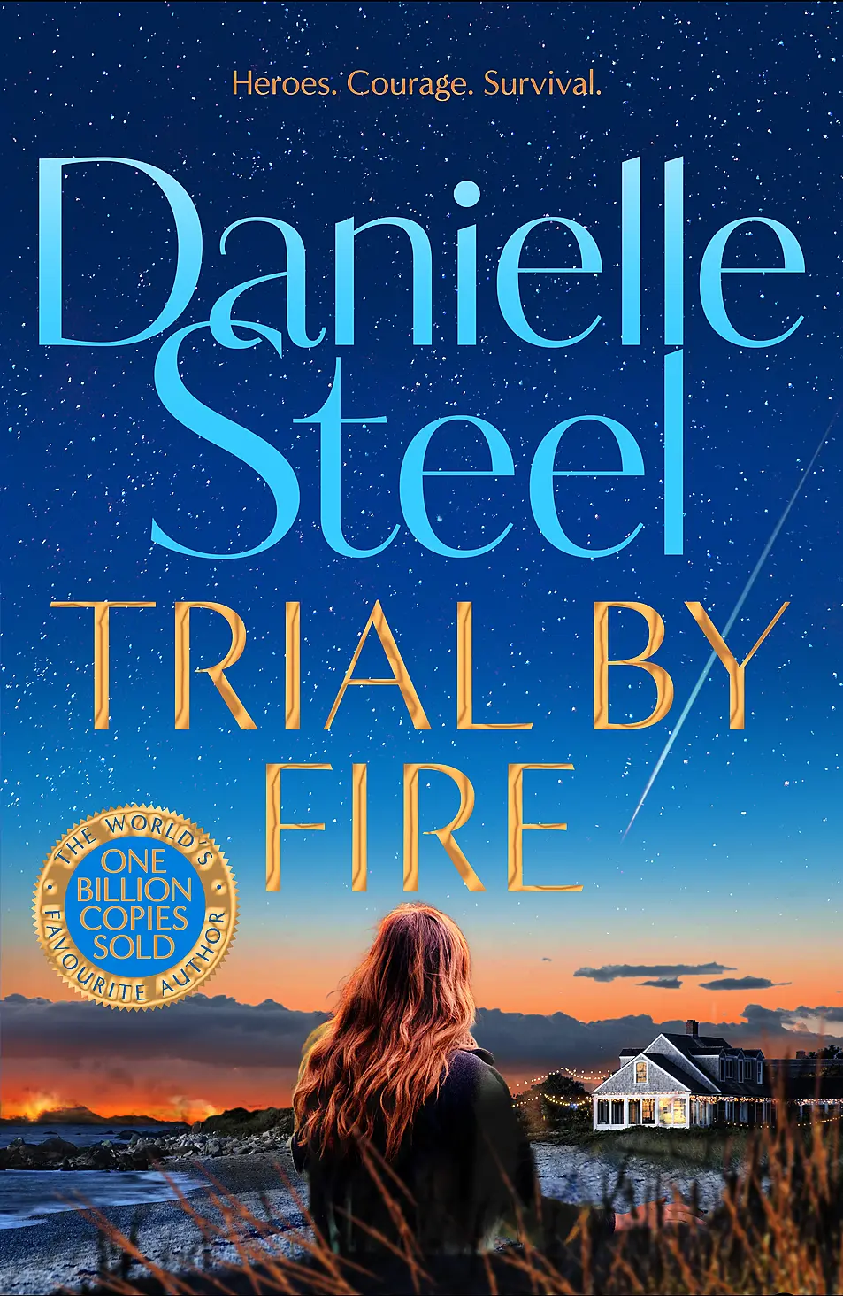 Trial By Fire by Danielle Steel