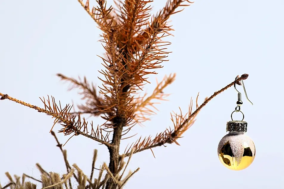 Close up picture of one bauble dangling from a dead Christmas Tree 