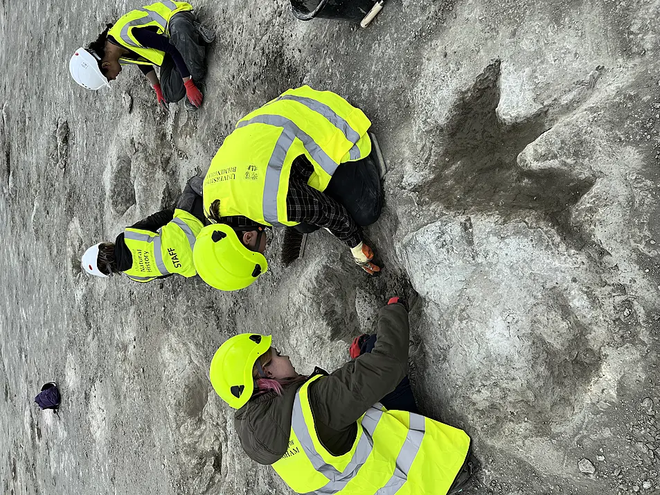 People in hi-vis examining dinosaur footprints