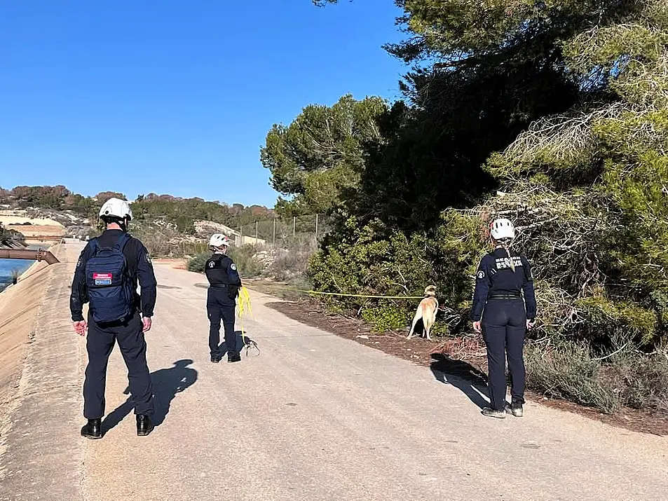 Three people in overalls and a search dog check a tree 