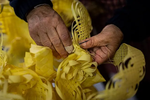 Angela Pastor decorates a palm