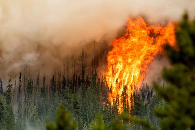 Flames from a wildfire in British Columbia