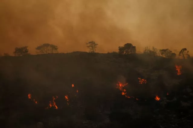 Plants on a mountain are on fire near Loutraki, 80 kilometres west of Athens, Greece 
