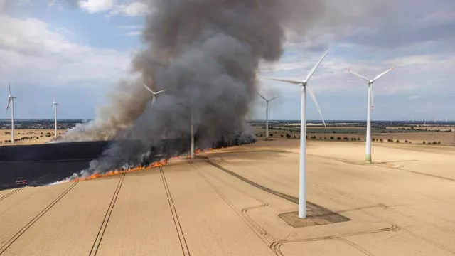 A field in an onshore wind farm on fire near the town of Zoerbig, eastern Germany