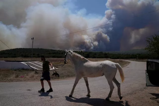 A man evacuates a horse from a stable as smoke plumes from a fire are seen in the background at Pournari village near Athens