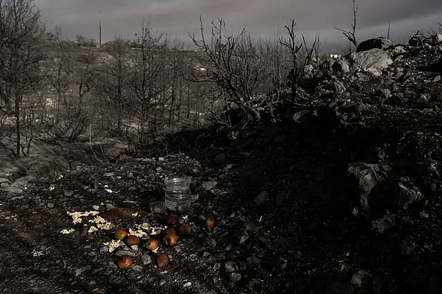 Apples and water for the animals, left by locals, lie in the burnt forest near Gennadi village on Rhodes