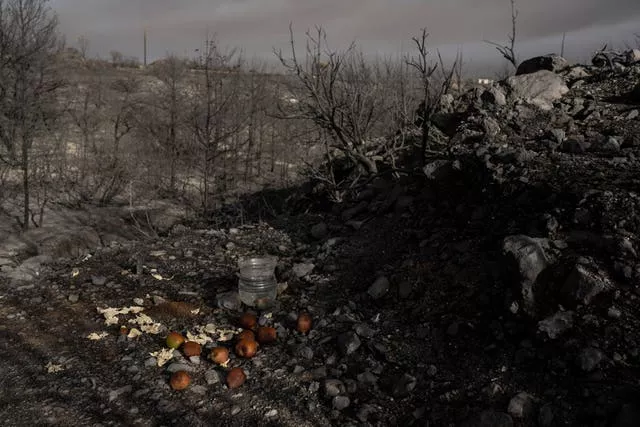 Apples and water for the animals, left by locals, lie in the burnt forest near Gennadi village on Rhodes