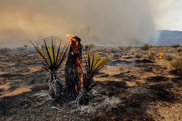 APTOPIX California Wildfires