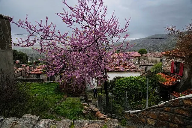 Turkey Gokceada Island Orthodox Easter Photo Gallery