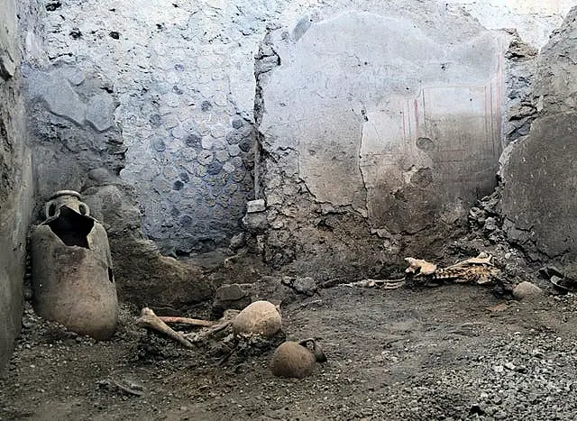 The two skeletons were found in the insula of the Casti Amanti, beneath a wall that collapsed before the area was covered in volcanic material