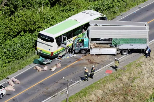 Japan Road Accident