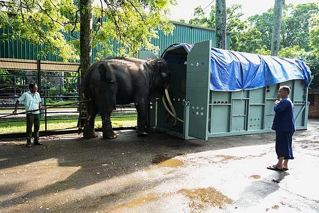 Sri Lanka Thai Elephant