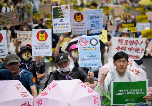 South Korean demo