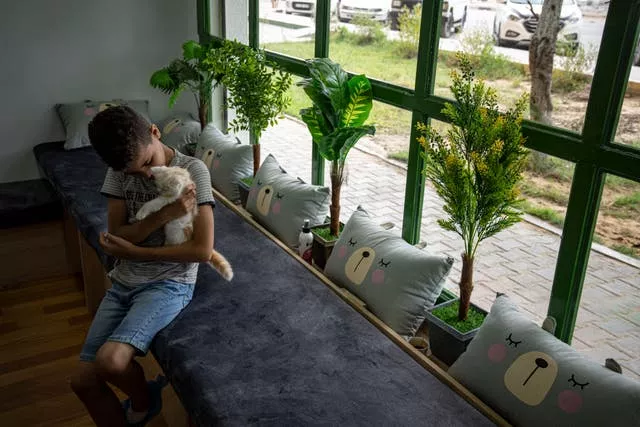 A Palestinian child enjoys the company of a cat on the opening day of Meow Cafe, Gaza City