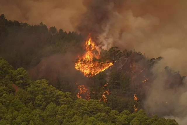 Лесные пожары в Испании на Тенерифе