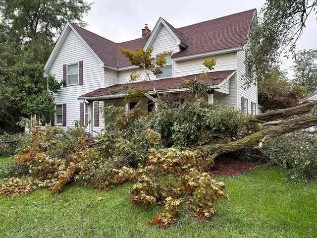 Uma árvore é arrancada do lado de fora de uma casa em Canton Township, Michigan