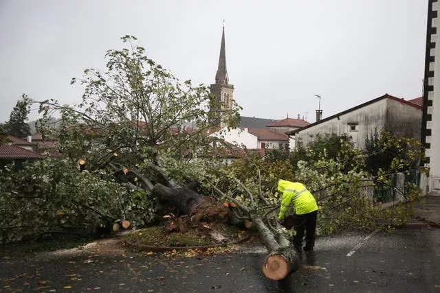 A man saws a tree that fell on a car park in France