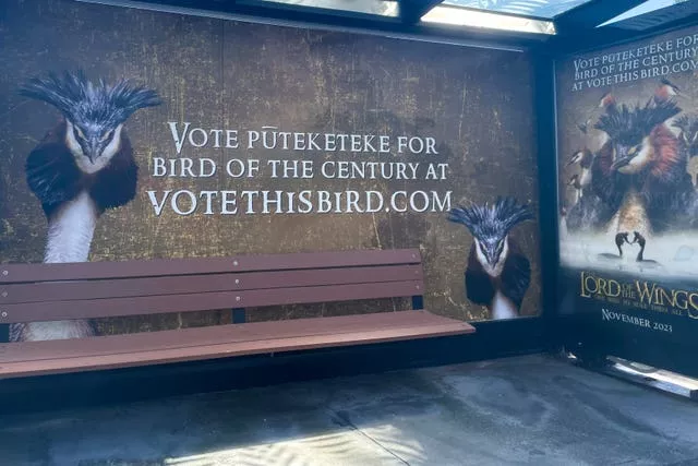 Um outdoor em um ponto de ônibus promove a campanha do comediante John Oliver para que o puteketeke seja nomeado o pássaro do século da Nova Zelândia em Wellington, Nova Zelândia