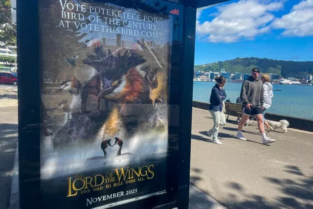 Um outdoor em um ponto de ônibus promove a campanha do comediante John Oliver para que o pūteketeke seja nomeado o pássaro do século da Nova Zelândia em Wellington, Nova Zelândia