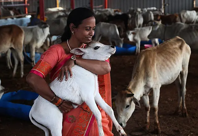 A woman hugs a cow