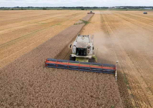 Harvesters collect wheat in the village of Zghurivka, Ukraine, in August 2022
