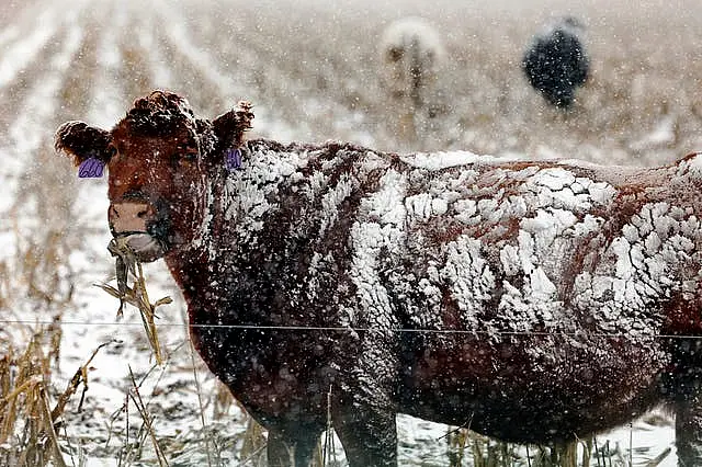 Winter Weather Nebraska