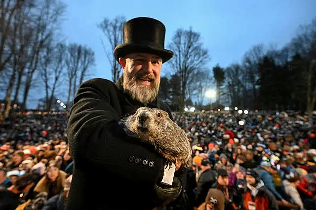 Groundhog Club handler AJ Dereume holds Punxsutawney Phil 